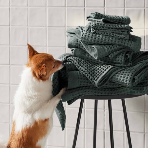 Dreamweave Waffle Washcloths - Last Call - Image 16