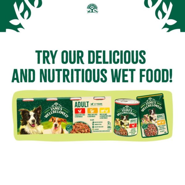 James Wellbeloved Adult Plant Power with Lamb - Image 9