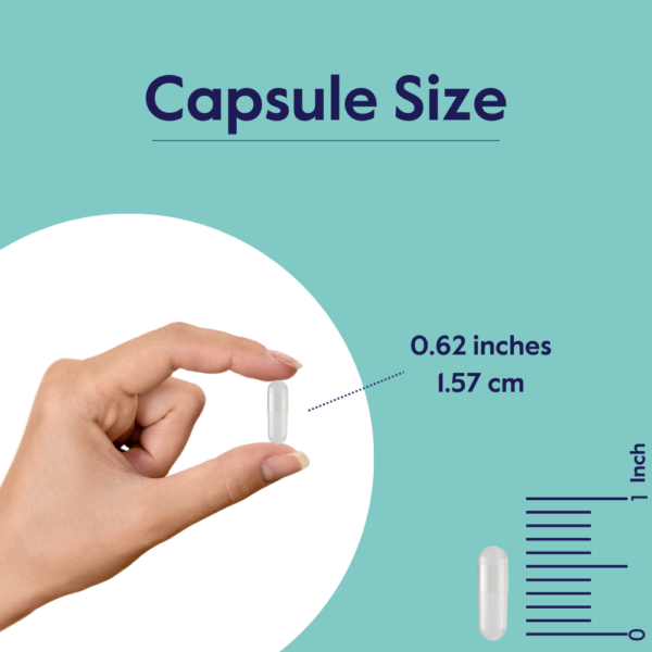 7-Keto 100mg - Image 7
