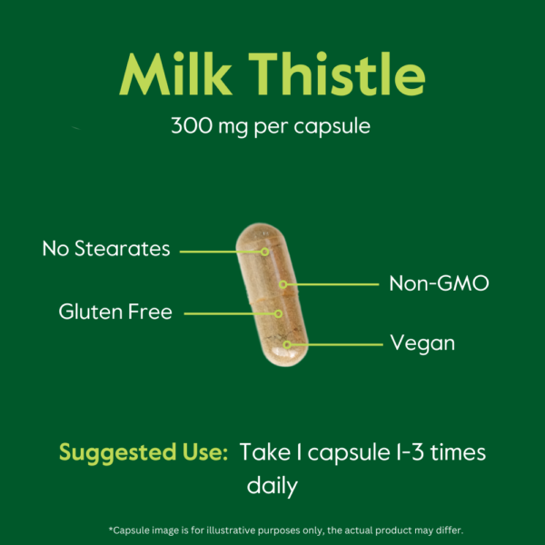 Milk Thistle 300mg - Image 8