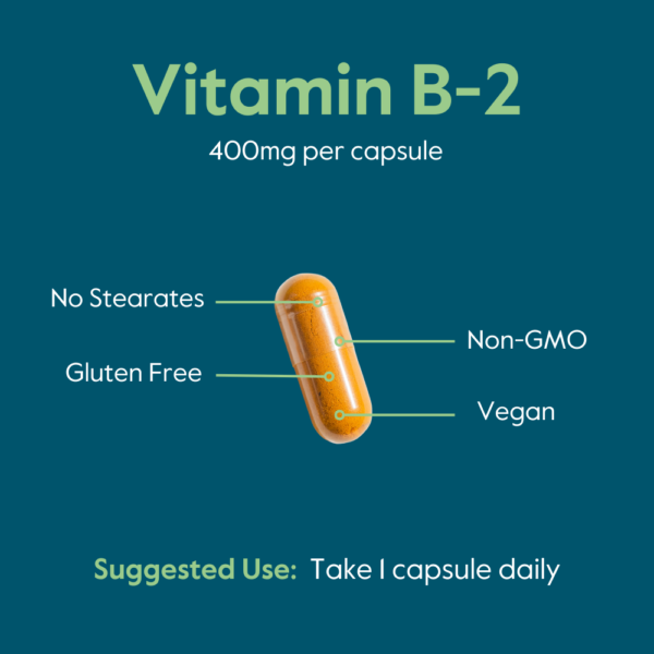 Vitamin B-2 (Riboflavin) 400mg - Image 7
