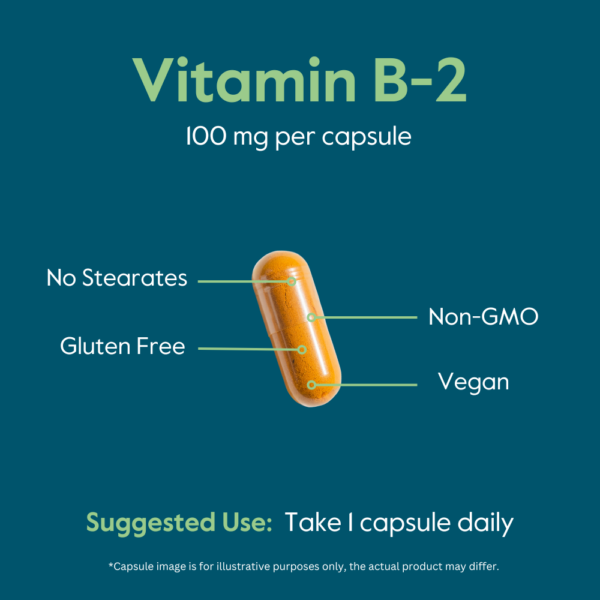 Vitamin B-2 (Riboflavin) 100mg - Image 7
