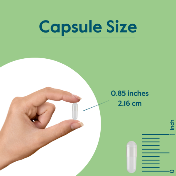 Vitamin B-1 (Thiamin) 500mg - Image 6