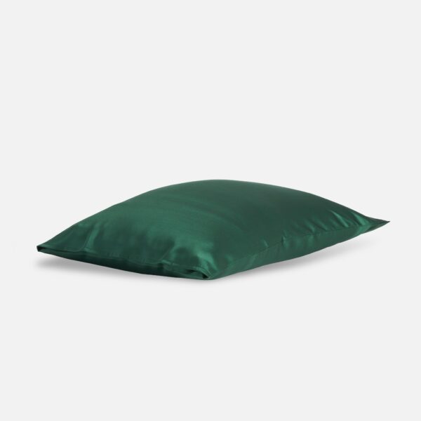 Rewards Mulberry Silk Pillowcase - Image 30