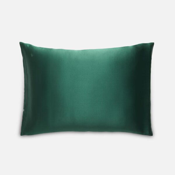 Rewards Mulberry Silk Pillowcase - Image 27