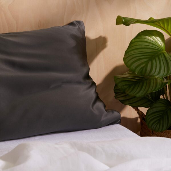 Rewards Mulberry Silk Pillowcase - Image 38