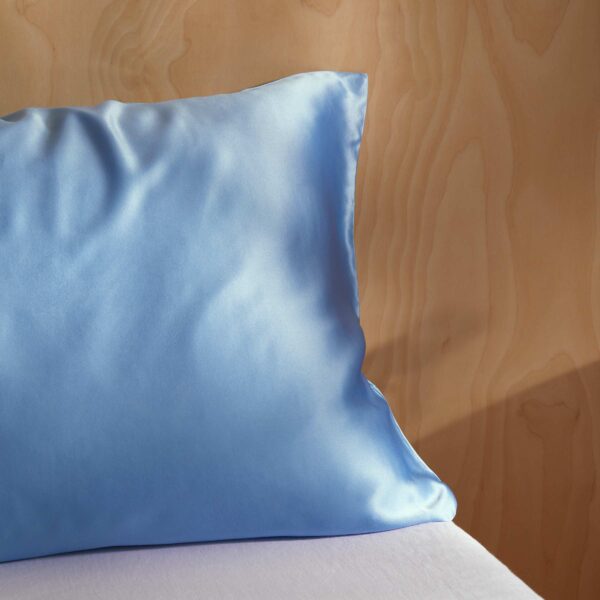 Rewards Mulberry Silk Pillowcase - Image 34