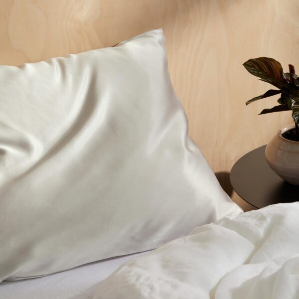 Rewards Mulberry Silk Pillowcase - Image 40