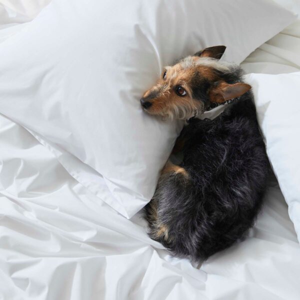 Test Luxe Sateen Duvet Cover - Image 24