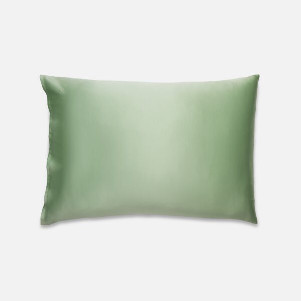 Rewards Mulberry Silk Pillowcase - Image 41