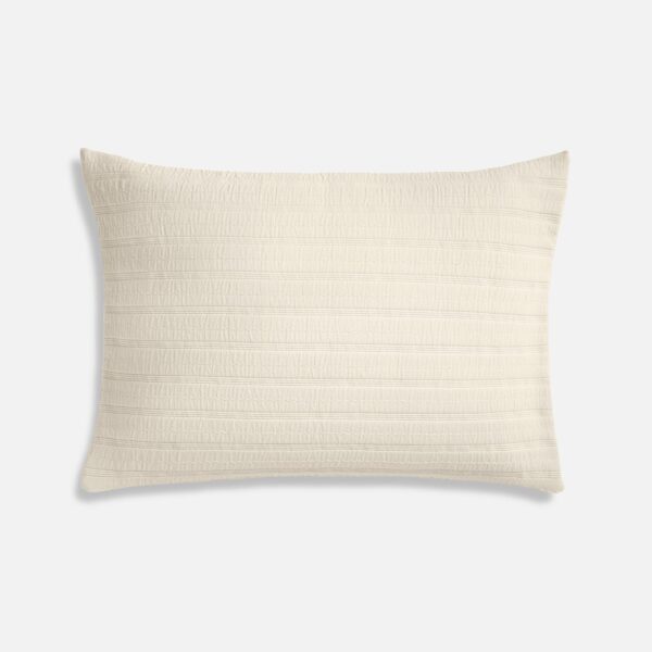 Organic Cotton Shams - Last Call - Image 2