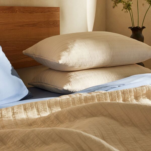 Organic Cotton Shams - Last Call - Image 5