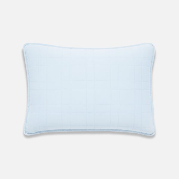 Lightweight Cotton Shams - Last Call