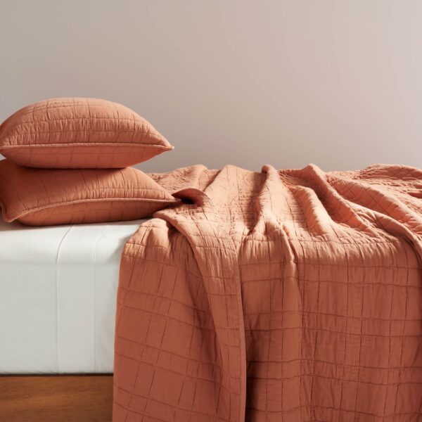 Lightweight Cotton Shams - Last Call - Image 12