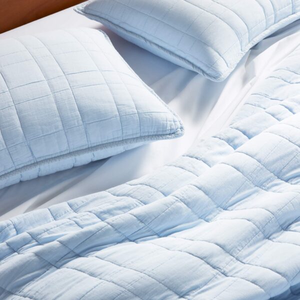 Lightweight Cotton Shams - Last Call - Image 13
