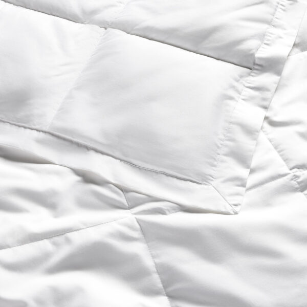 Featherweight Down Alternative Bed Blanket - Image 3