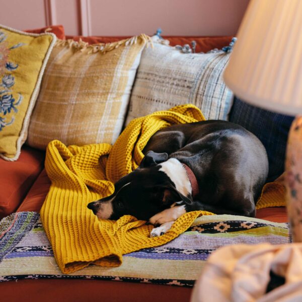 Dabito Dreamweave Waffle Throw Blanket - Last Call - Image 3