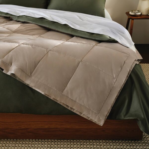 Featherweight Down Bed Blanket - Image 8