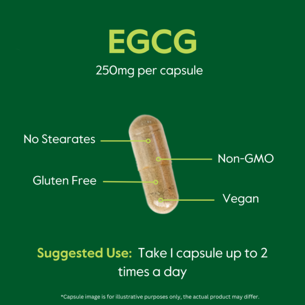 EGCG 250mg - Image 6