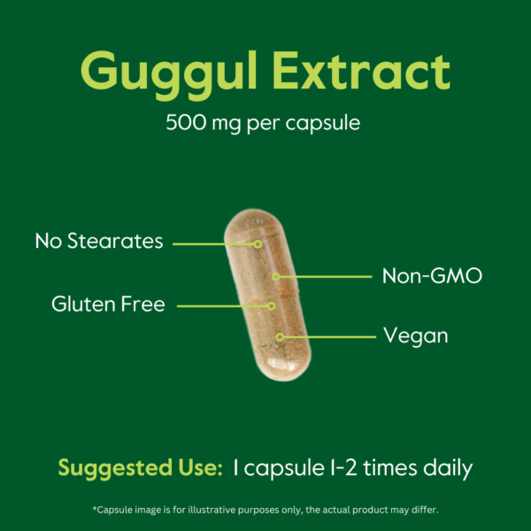 Guggul Extract 500mg (Gugulipid) - Image 7