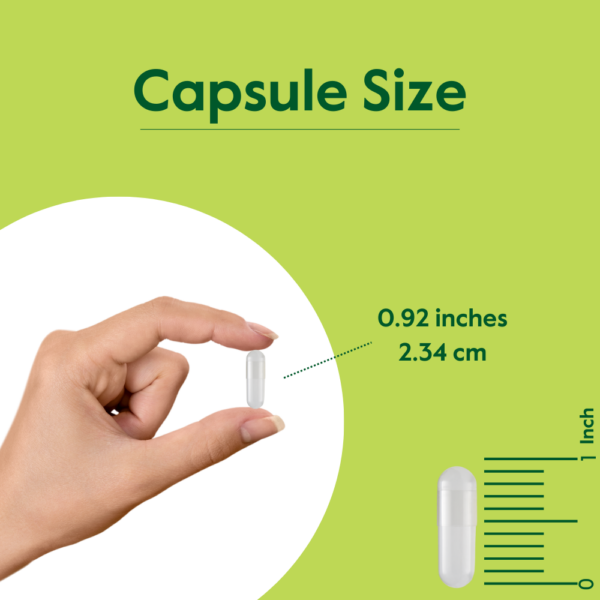 Guggul Extract 500mg (Gugulipid) - Image 6
