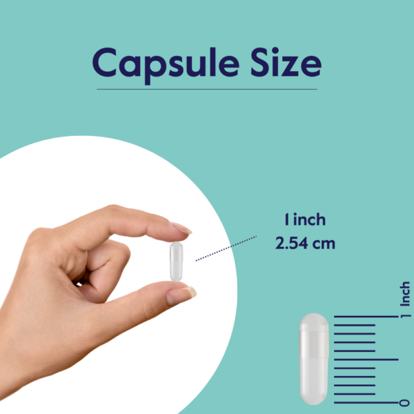 MSM 1000mg with OptiMSM® - Image 6