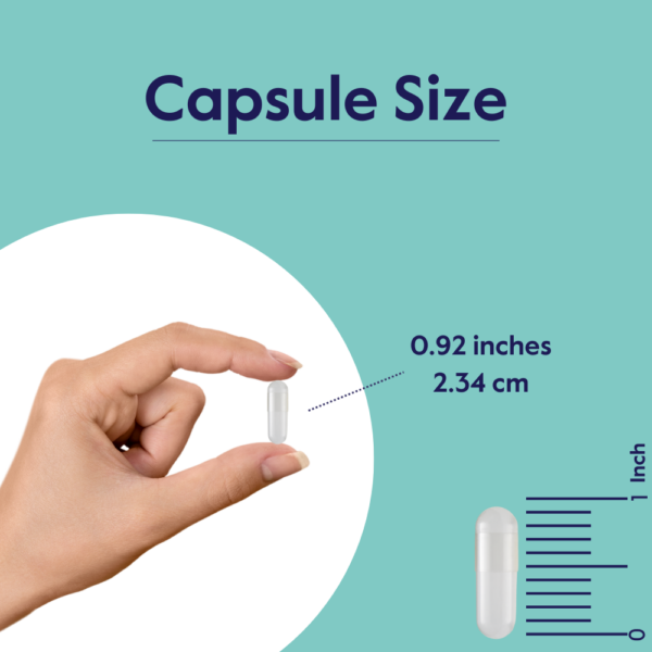 Calcium HMB 500mg - Image 4