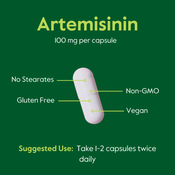 Artemisinin 100mg - Image 7