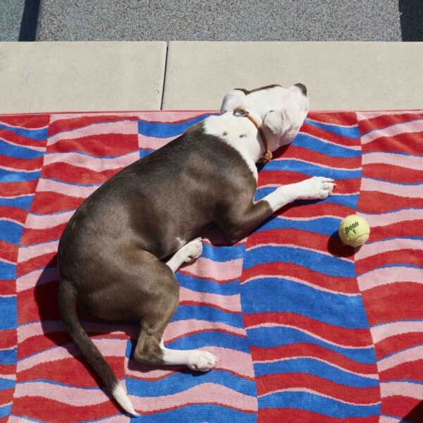 Beach Towel - Image 15