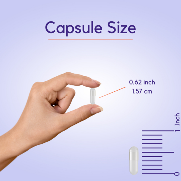 Ginkgo Biloba 120mg - Image 3