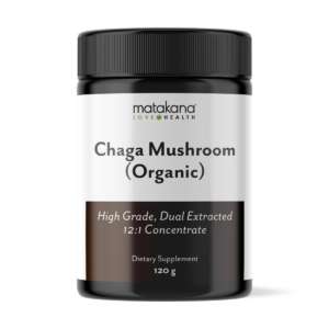 Chaga Mushroom