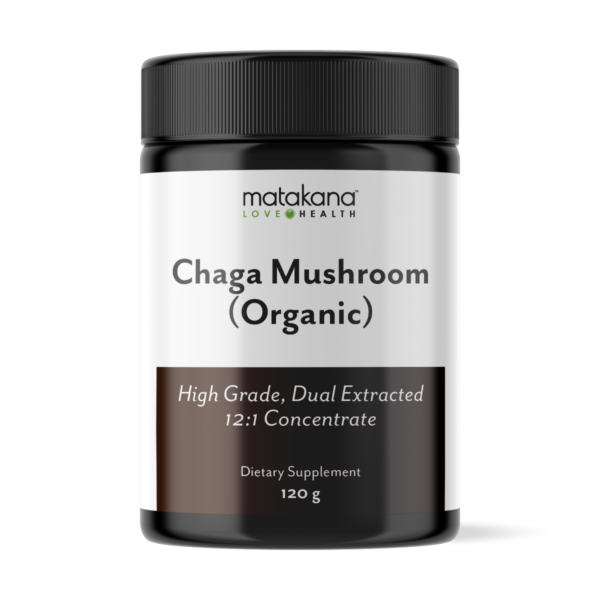 Chaga Mushroom