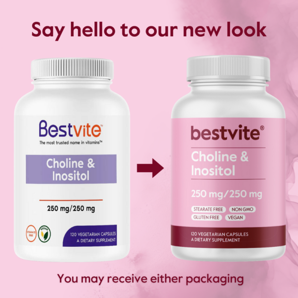 Choline & Inositol 250mg/250mg - Image 4