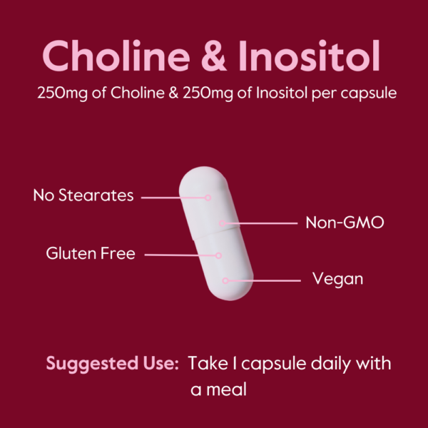 Choline & Inositol 250mg/250mg - Image 7