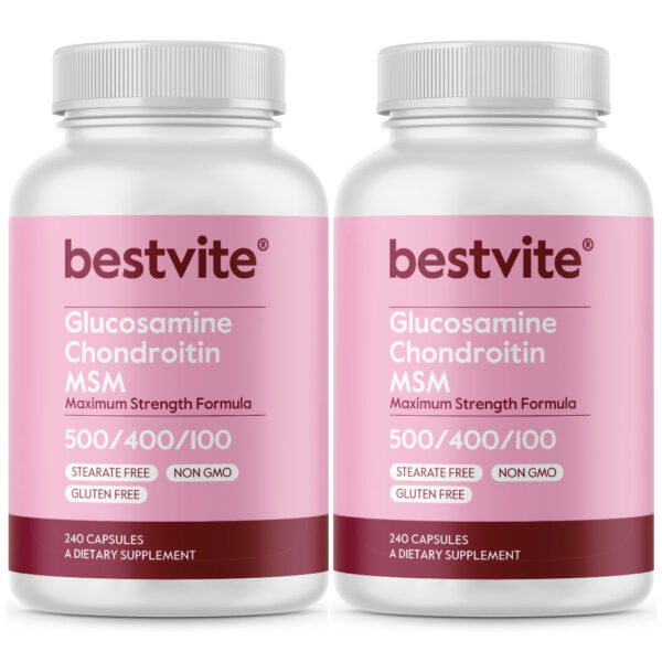 Glucosamine / Chondroitin  /MSM 500 / 400 / 100 - Image 2