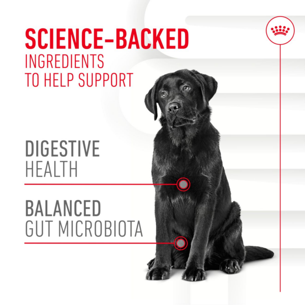 Royal Canin Digestion Soft Chews Adult Dog Supplements - Image 3