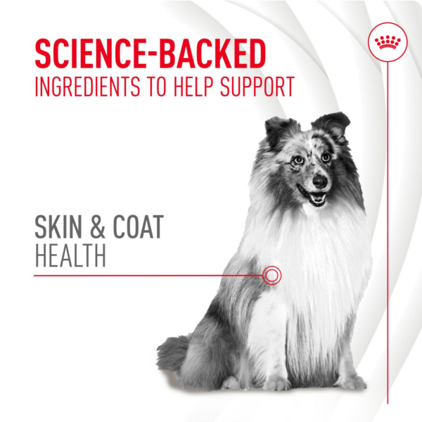 Royal Canin Skin & Coat Soft Chews Adult Dog Supplements - Image 3