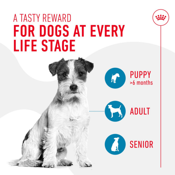 Royal Canin Training Treats for Dogs - Image 3