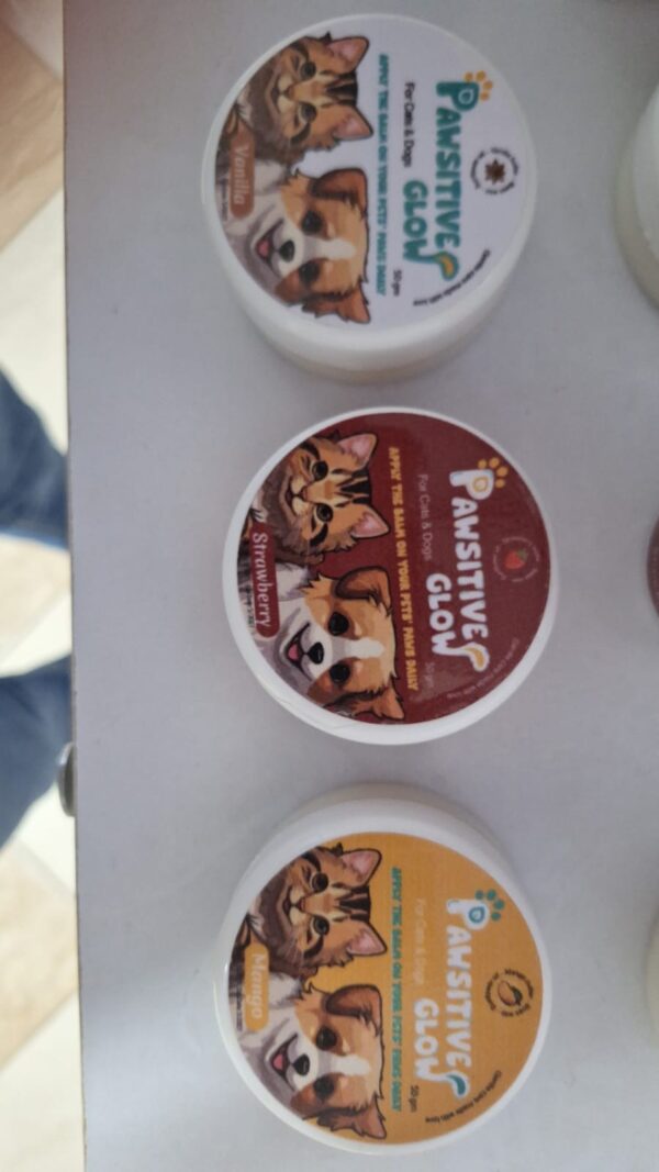 Pawsitive Glow Nourishing Balm - Image 2