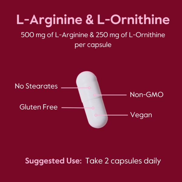 L-Arginine-L-Ornithine 500-250 - Image 8