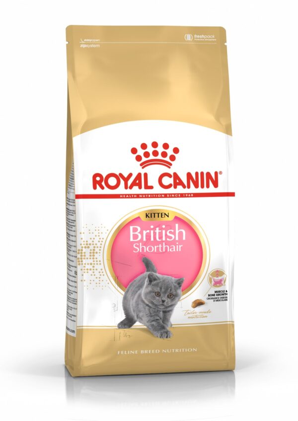 Royal Canin Kitten British Shorthair Dry Cat Food
