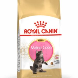 Royal Canin Feline Health Nutrition Maine Coon Kitten Dry Cat Food