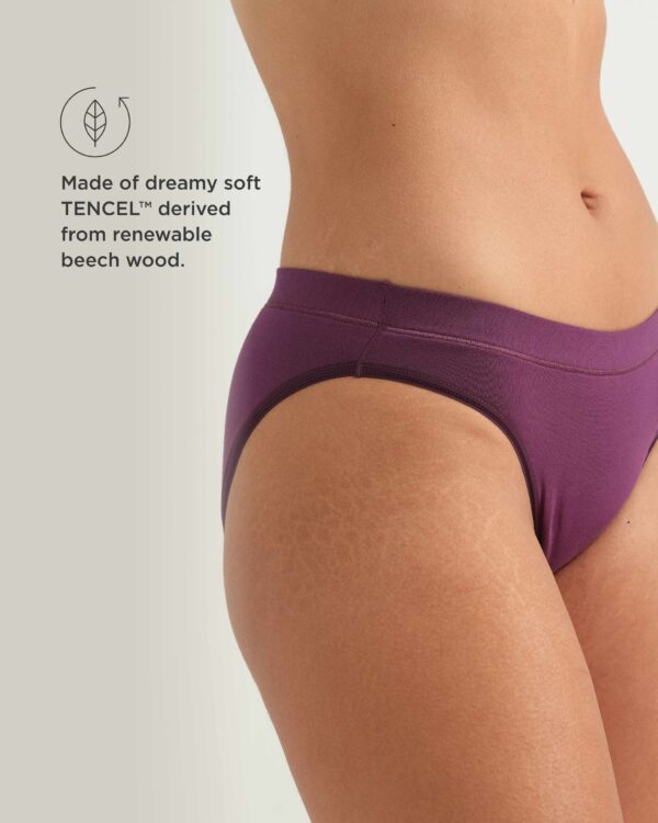 Leakproof Comfort Bikini - Image 2