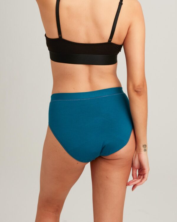 Leakproof Comfort Brief - Image 14