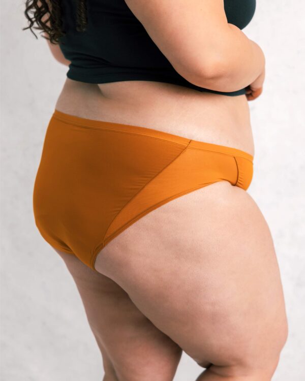 Leakproof Mesh Bikini - Image 19