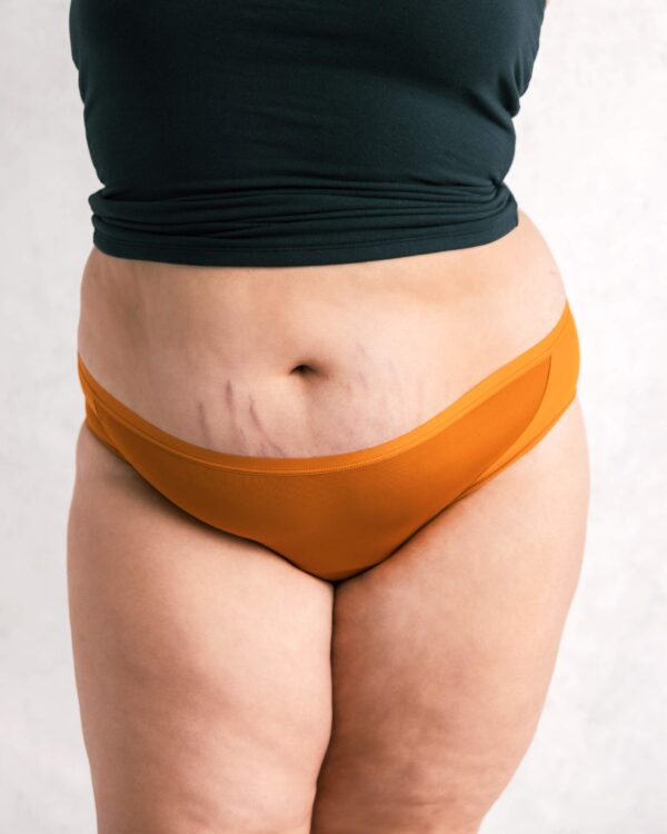 Leakproof Mesh Bikini - Image 18