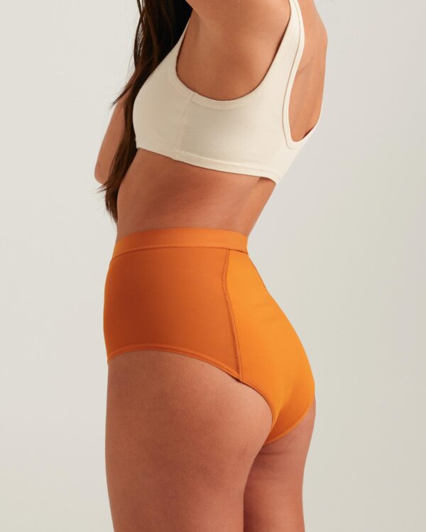 Leakproof French Cut High Waist Full Gusset - Image 8