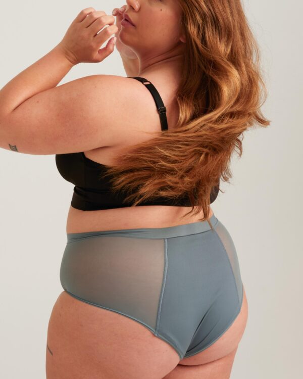 Leakproof French Cut High Waist Full Gusset - Image 14