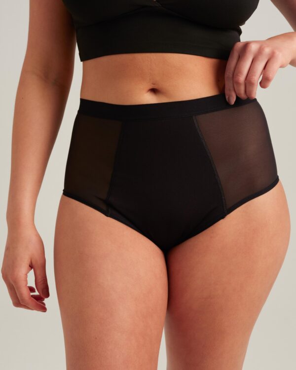 Leakproof French Cut High Waist Full Gusset - Image 25