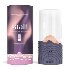 Saalt Steamer